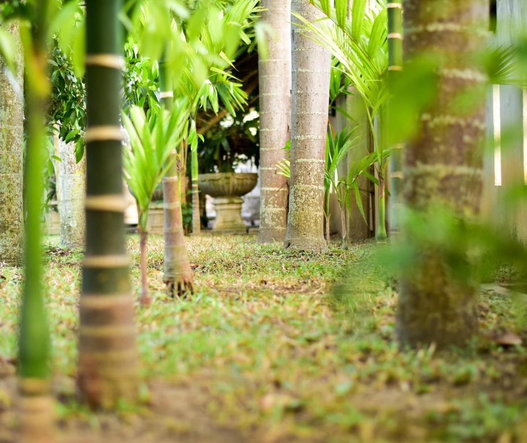Chiang Mai Heritage House Екстериор снимка